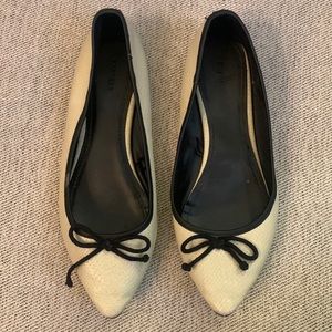 Express Pointed Toe Ballet Flats